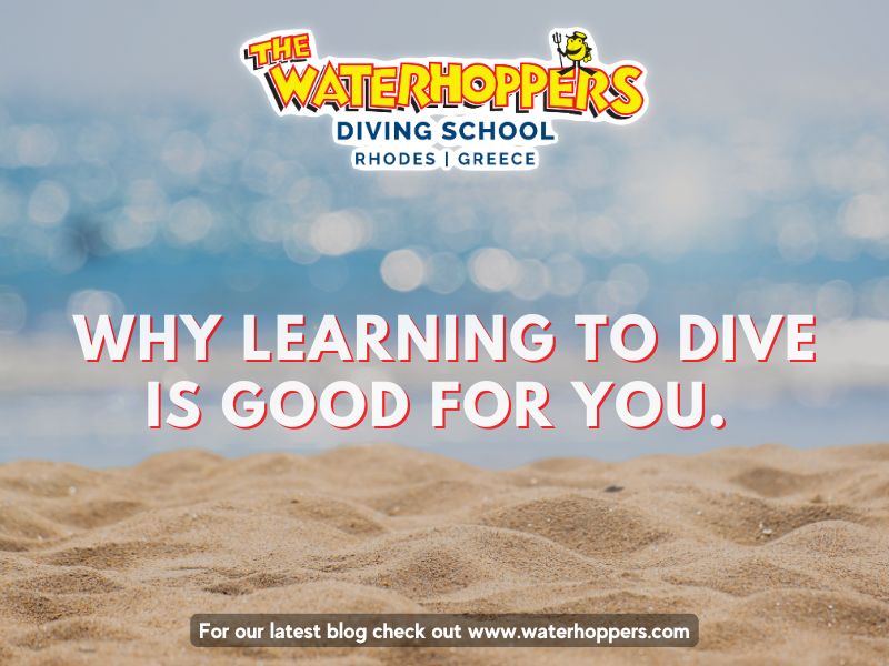 Why Learning to dive is good for you. 